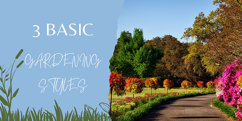 Back to Basics! Know the 3 Different Gardening Styles